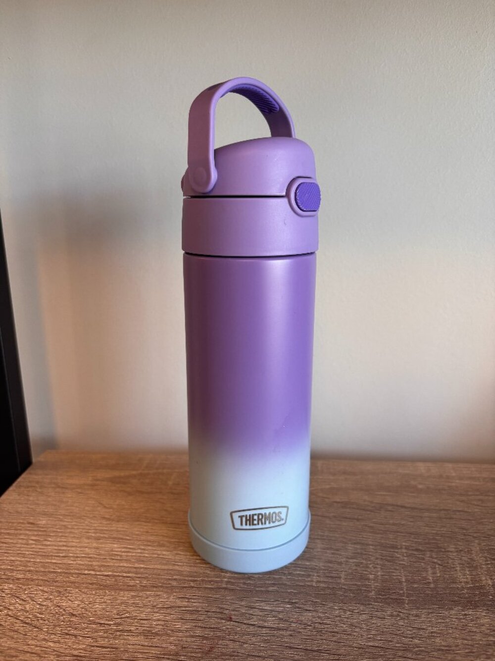 Thermos Purple Ombre Stainless Steel Insulated Water Bottle Flip Top